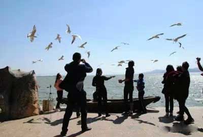 冬天去昆明哪里看海鷗？海埂公園.jpg
